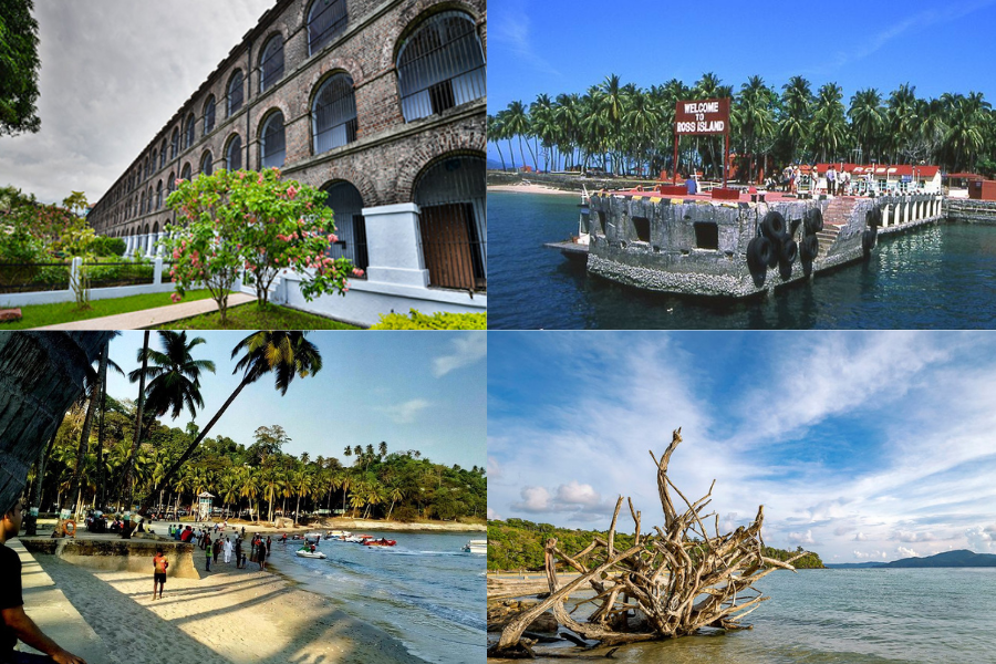 things to do in port blair